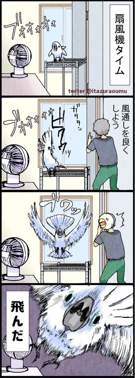 ろう 室内で飛んで混乱するオウムと飼い主 漫画 いたずらオウムの生活雑記 T Co Zhxtwbbtpy Twitter