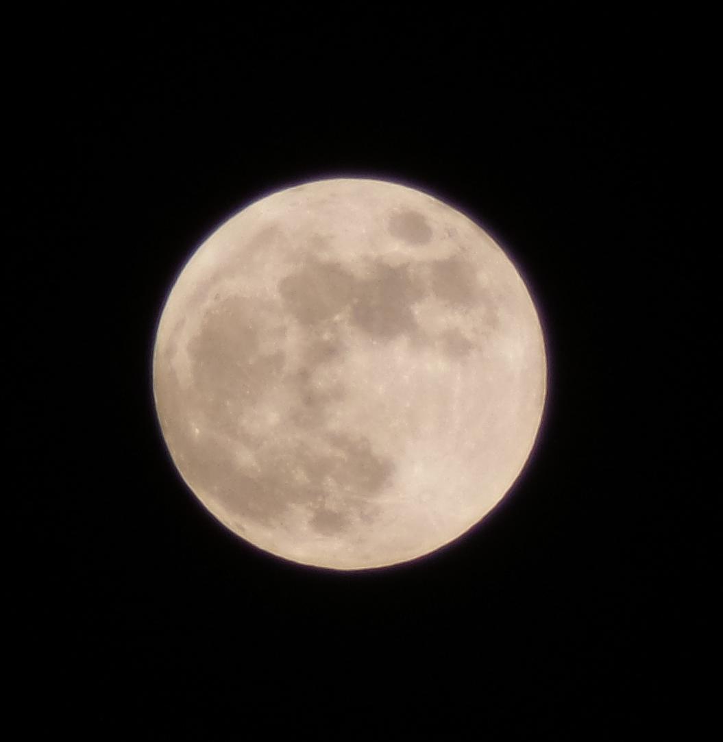 bertha_reyes's tweet photo. Luna llena #hernosa https://t.co/CBH96EBABb