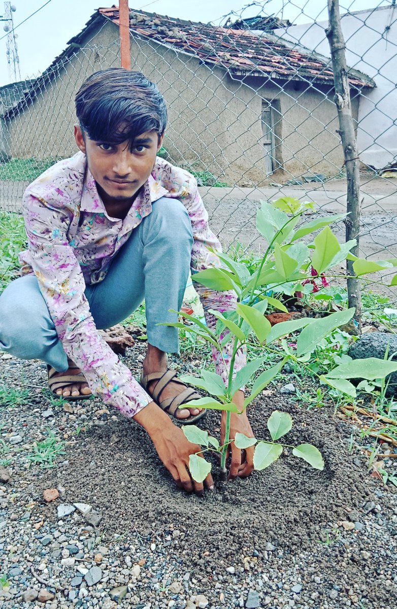 vikram_padani's tweet photo. Celebrate🎊 CSC Gujarat Day 🎉
today on 5️⃣ July 2020 and 🌲planted🌱 trees🌴 in #CSC Center (ICICI Bank CSP) and adjoining areas
#cscgujaratdiwas 
@AshokUbhadiya @Vipuldeshani @jazan_sengupta @CSCSPMVISHAL @dintya15 @rsprasad @CSCGujarat @CSCegov_ https://t.co/1MPchcSlNe