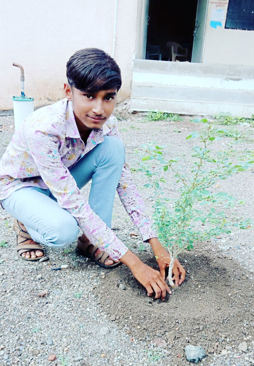 vikram_padani's tweet photo. Celebrate🎊 CSC Gujarat Day 🎉
today on 5️⃣ July 2020 and 🌲planted🌱 trees🌴 in #CSC Center (ICICI Bank CSP) and adjoining areas
#cscgujaratdiwas 
@AshokUbhadiya @Vipuldeshani @jazan_sengupta @CSCSPMVISHAL @dintya15 @rsprasad @CSCGujarat @CSCegov_ https://t.co/1MPchcSlNe