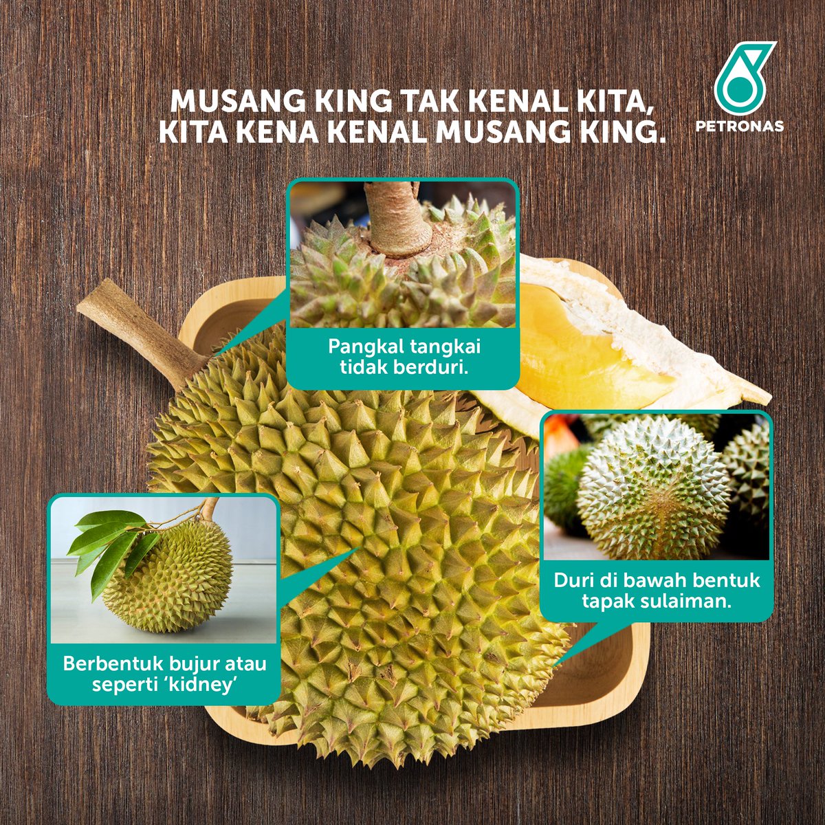 Petronasbrands's tweet photo. Memang tak sah kalau tak sembang pasal durian kan? Ada yang dah 'round 3' tak? π€ Tapi ramai juga yang tak tahu Musang King tu macam mana. Kami tolong sikit!
Nak cari durian, siap-siap isi minyak penuh tau! Baru 'smooth'! π
#PETRONAS #musangking #primax95 #movelikeneverbefore https://t.co/4FlzCRlWVA