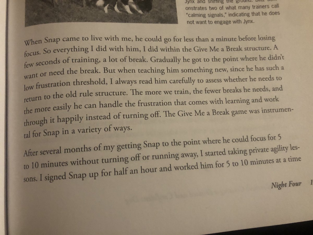 Remember Snap?When the author first got him, he couldn’t focus on training for even a minute, so she trained in shorter sessions than that, and told him to go play before he got frustrated or lost focus. Over time he could focus longer and longer! https://twitter.com/diviacaroline/status/1278537225148362752?s=21  https://twitter.com/diviacaroline/status/1278537225148362752
