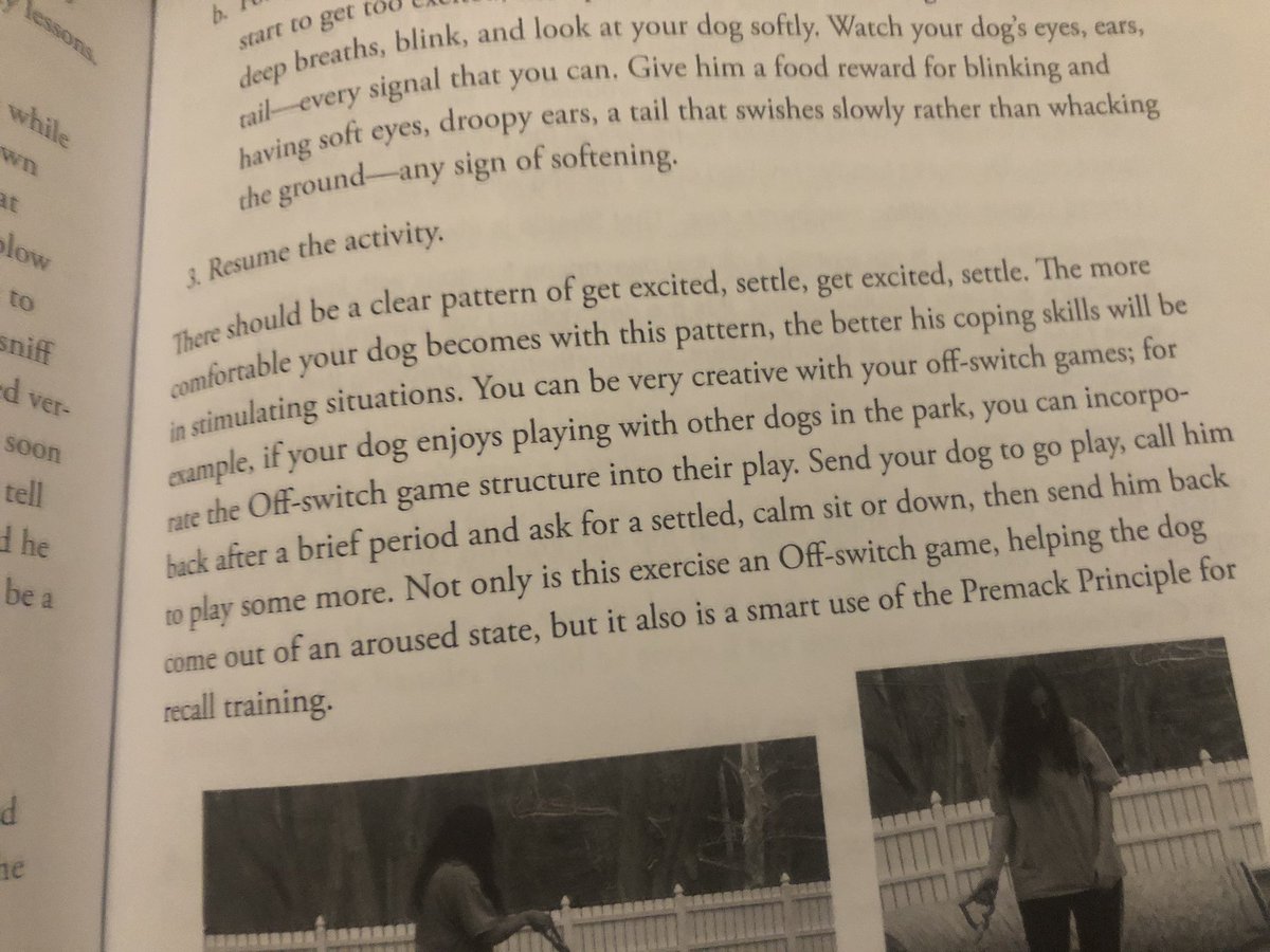 I think “the off-switch game”, and teaching the dog to “think through arousal” are both pretty good framings. And that learning to calm down quickly after doing something exciting is a very useful skill for anyone!