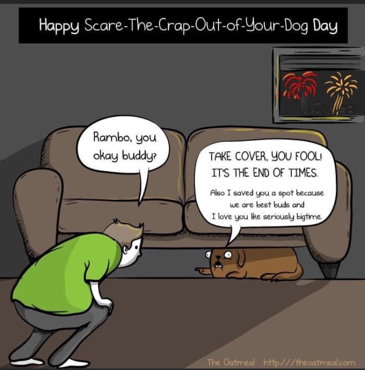 The Oakland firework nightmare. Hope they blow their wad tonight & things go back to relative normal. #illegalfireworks #scareddog #oakland #oaklandfireworks