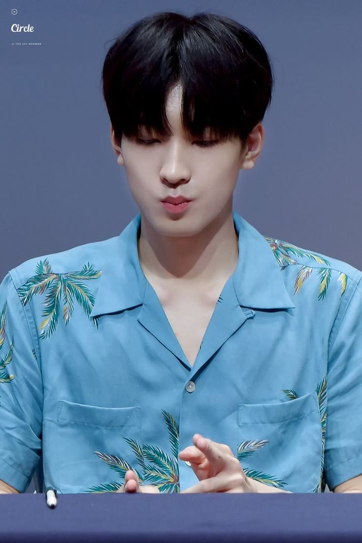 wonwoosource tweet picture