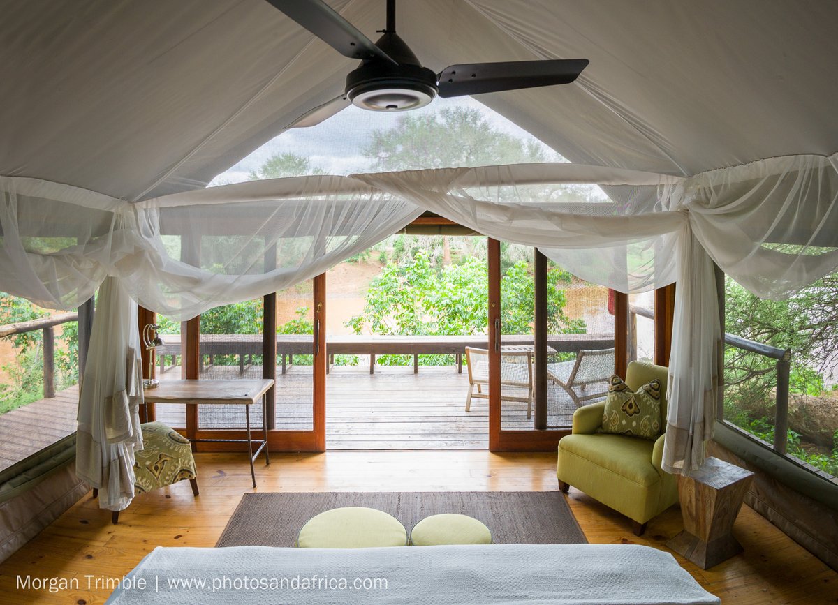RETURNAfrica's tweet photo. Waking up to the Luvuvhu River in the Pafuri region on a Sunday morning.
.
.
.
📸: Morgan Trimble
#RETURNAfrica #PurePafuri #MyPafuri #LuvuvhuRiver #LifeGoals #Pafuri #Safari #SouthAfrica #WeLoveAfrica #NorthernKruger #Kruger #Travel #Explore #MeetSouthAfrica https://t.co/g3WB5KqfLk