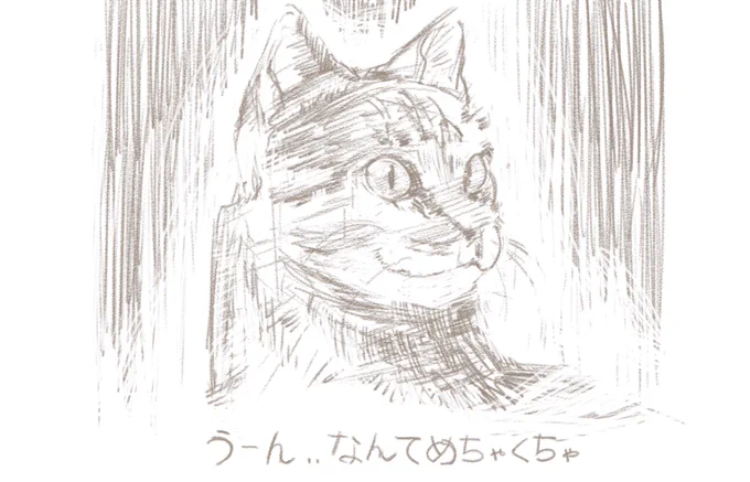 れんしうねこ 