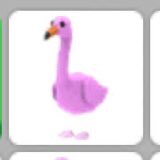 wonlxvv's tweet image. Flamingo giveaway!
Rules:
-follow 
-rt
-comment “done”

#adoptmetrades #Adoptmetrade like= entered