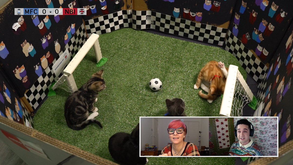catcamc31's tweet photo. Get your 🐈 + 📹 + ⚽️ fix right now
▶️ https://t.co/zbdxI8LxoV
#CatcamWorldCup @calbo @lessonswithluis @NekoCatRescue https://t.co/odwvULUlsn