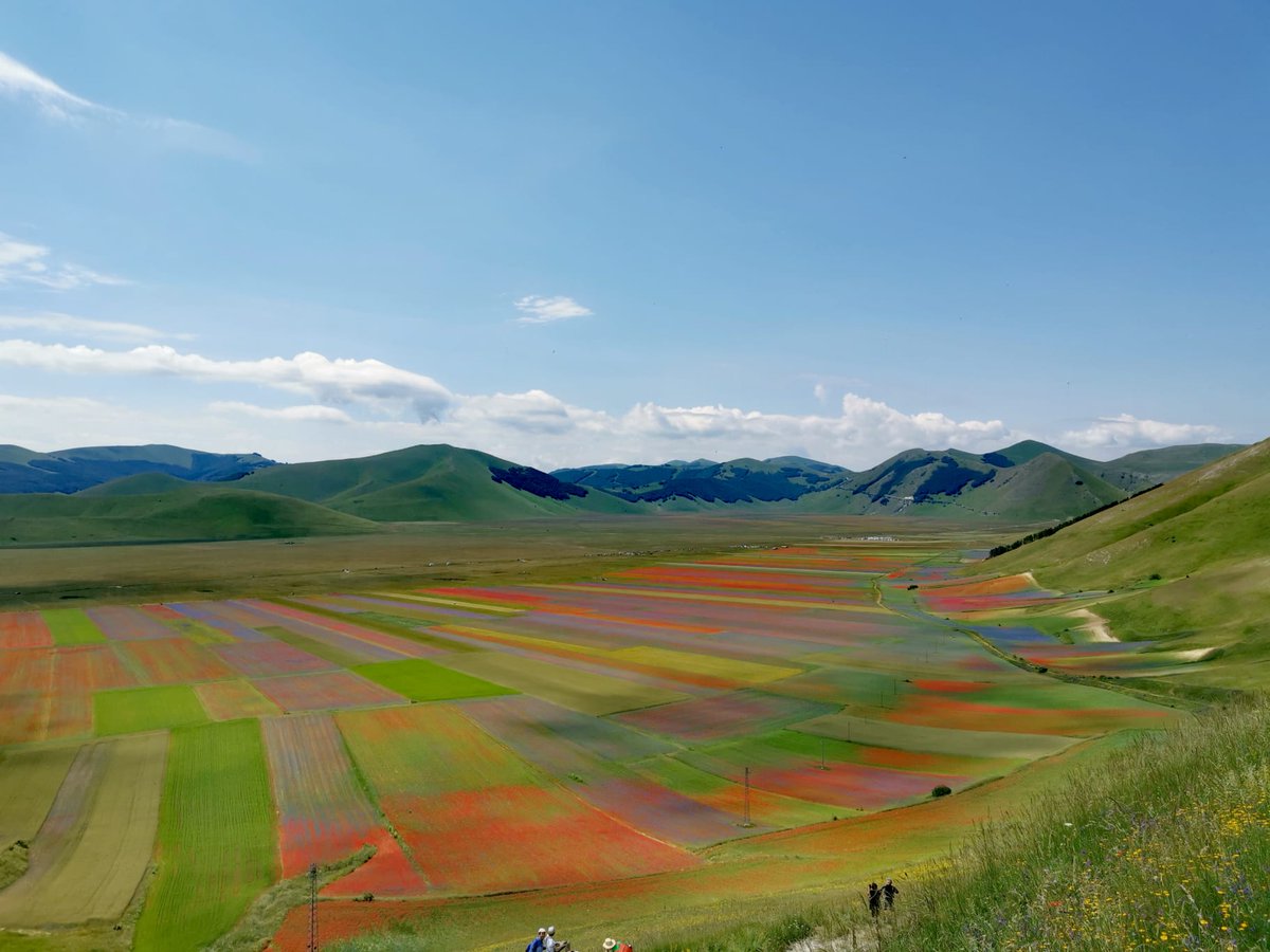 SentieroArmenza's tweet photo. Da vedere almeno una volta nella vita! #fiorituracastelluccio https://t.co/xMYIbviYiF