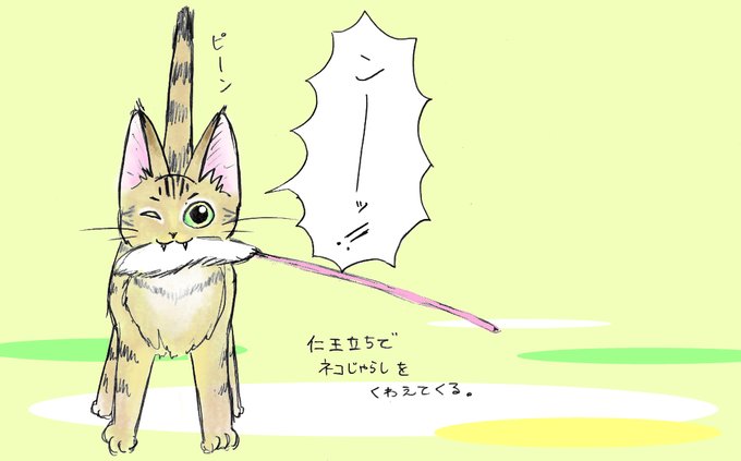 キジムナーのtwitterイラスト検索結果 古い順