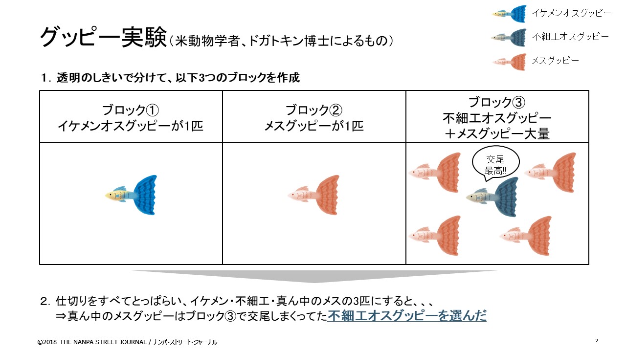 ナンパ ストリート ジャーナル 新規案件 美女 の食いつきを上げる スマホを使った Nsj流テクニック 過去の美女とのイチャイチャ写真 動画を見せる いかにレベルの高い女性から需要されているか の証明になる 食いつきが上がる 有名な ナンパ ストリート ジャーナル 新規案件 美女 の食いつきを上げる スマホを使った Nsj流テクニック 過去の美女とのイチャイチャ写真 動画を見せる いかにレベルの高い女性から需要されているか の証明になる 食いつきが上がる 有名な