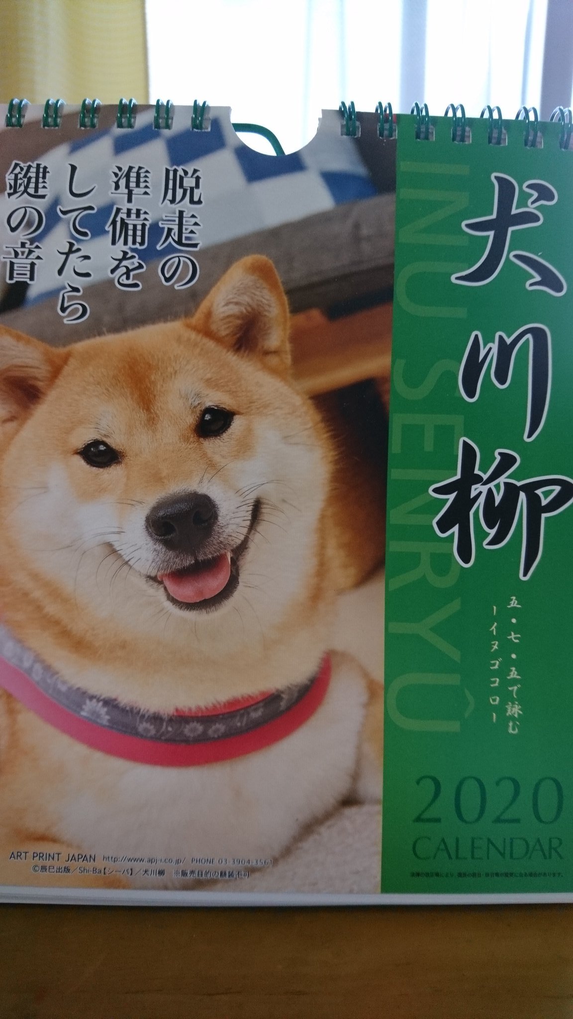 犬川柳カレンダー Twitter Search Twitter
