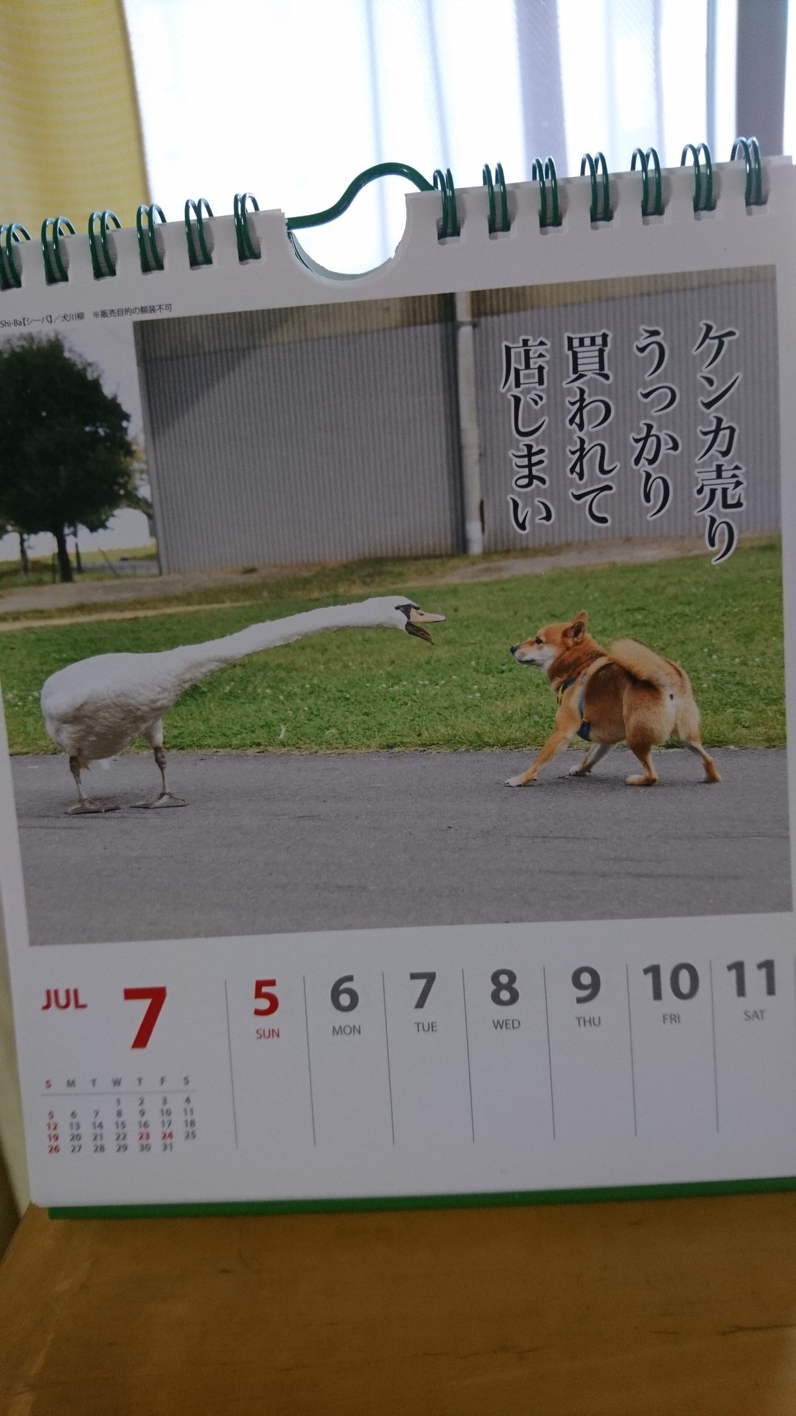 犬川柳カレンダー Twitter Search Twitter