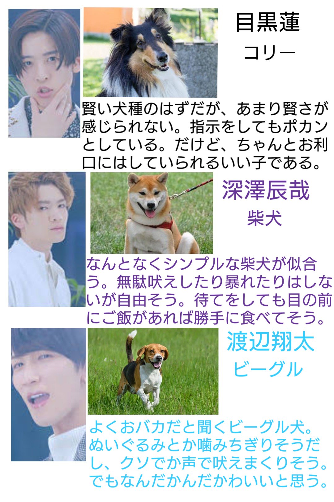 Bpm144 もしsnow Manが犬だったらどんな感じか考えてみた 1枚目が元気いっぱいで 2枚目が頭よくて 3枚目がちょっとおバカ なイメージ Snowmanで妄想 Snowman Bpm144 もしsnow Manが犬だったらどんな感じか考えてみた 1枚目が元気いっぱいで 2枚目が頭よくて 3枚目がちょっとおバカ なイメージ Snowmanで妄想 Snowman