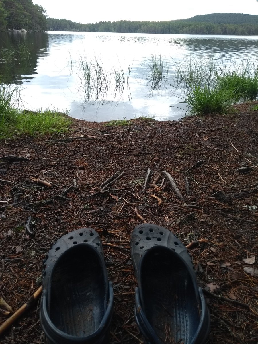 DuncanGrant9's tweet photo. @RSPBLochGarten spotted some crocs near the water. Thank you very much to the wardens for making us feel so welcome and looking after this beautiful area. https://t.co/mEk3r2UaPC