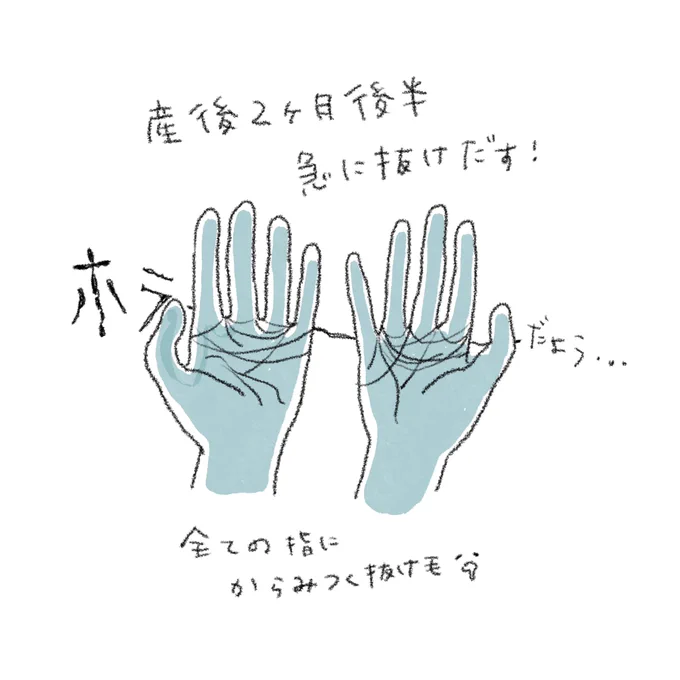 産後の抜け毛が想像の5倍くらいだった話
なんで髪の毛って大事にしてるのに抜けた途端きたなくなるんだろうね…

#育児あるある 
#育児漫画
#育児絵日記 