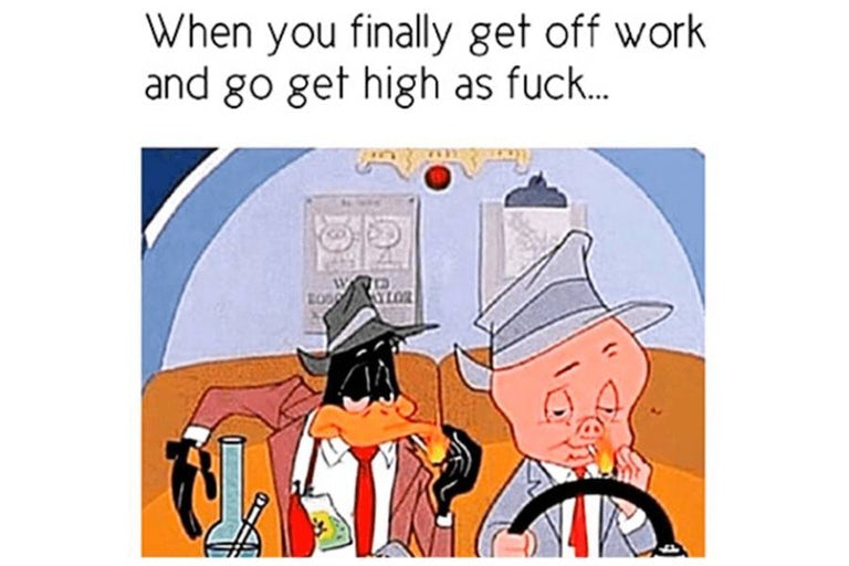 teneweedfe's tweet photo. Don't forget, Sundays are a day of rest. Closed today, but back with a bang tomorrow! 🙈🙊🙉😍🔥👍😜#teneweedfe #theislandthatsmokes #teneweedfm #radiotenerife #teneriferadio #cannabiscommunity #smokeweedeveryday #tenerife #weed  #tenerifeweed https://t.co/vbQJcLVVSR