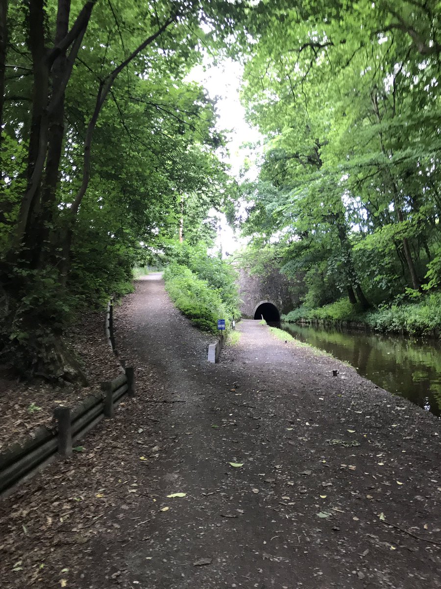 NicT211's tweet photo. Stage 1/Leg 1 of the #greatglenultramarathon relay done π running as a team with @Emilie8480 @thatkitegirl π and for every mile I run for GGUM I will donate to @CahonasScotland π
#RunNicRun #PeakerPower #TeamGlobalGirls π@PeakersEngland @PeakersD https://t.co/LOwqIBybee