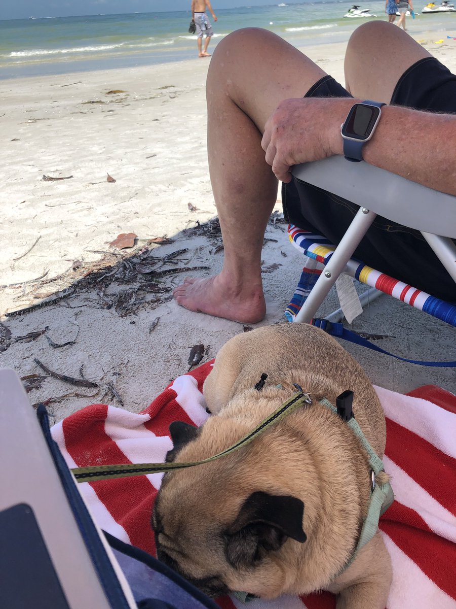 Lulu🇺🇸🇮🇱 🇮🇷 tweet media