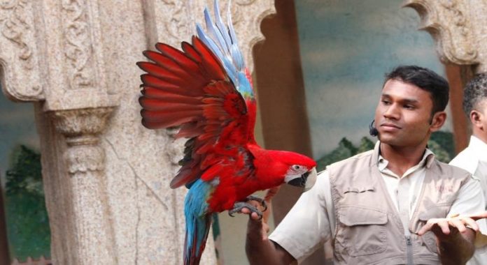 Meet exotic birds in live session series
Read More............
#Lockdown #ELearning #Entertainment #ExoticCelebrityBirds #Celebirdies 

bhaskarlive.in/meet-exotic-bi…