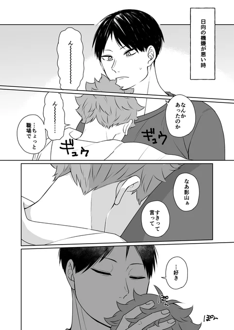 恋人の機嫌が悪い時
ひなたVer
#影日 