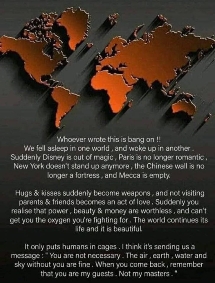 Sumrux1's tweet photo. Nature has shown us in many ways that we are causing more harm to her
But we are here in large numbers and here to stay. Above all we want to stay.Let's make our stay worthwhile help her revive.
Even small steps to conserve collectively make a difference. like reusing books etc. https://t.co/jS7asVdpow