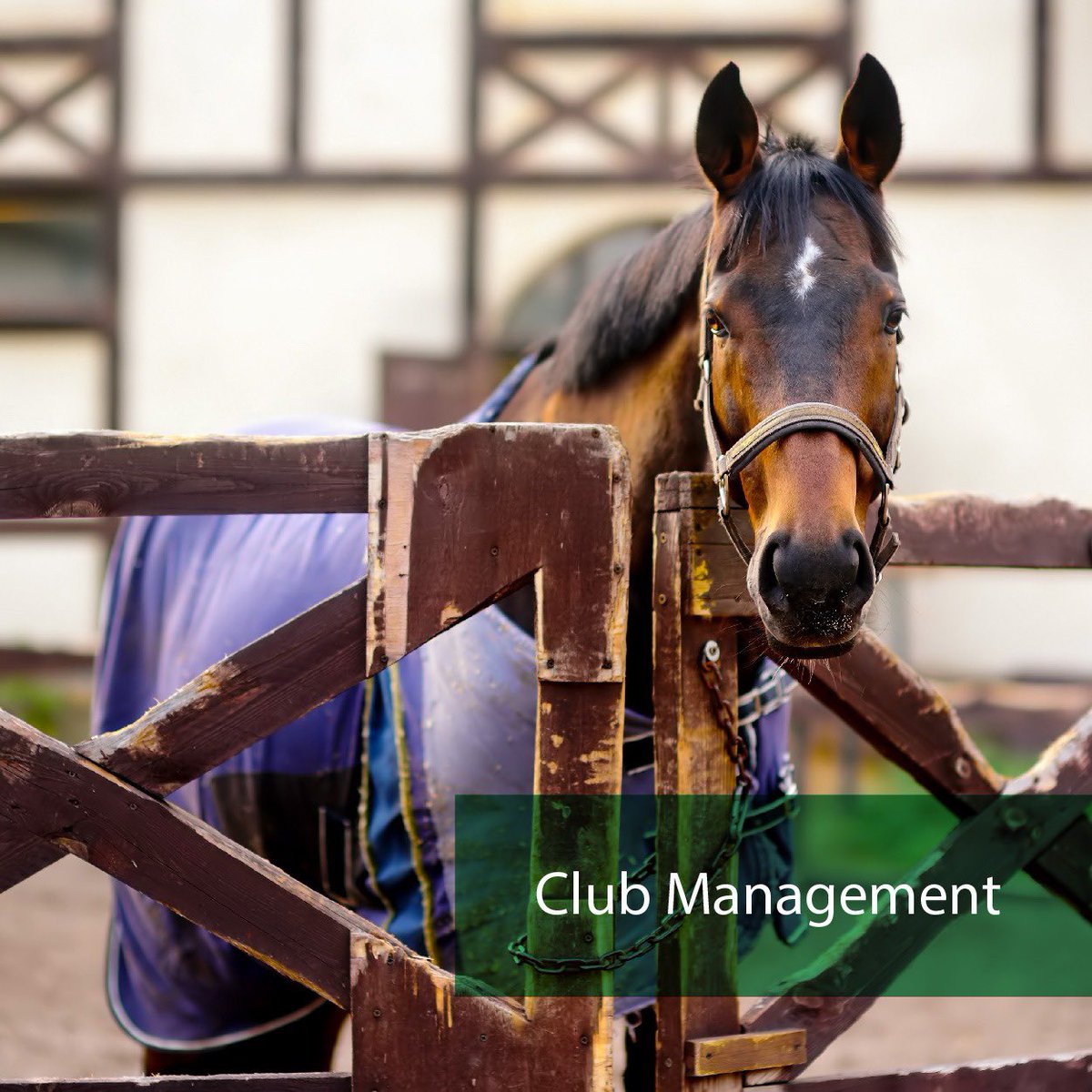 AdaaEquestrian's tweet photo. We evaluate the performance of your club and find ways to improve it and keep it on the right track to success. 
Learn more about our club management services:
https://t.co/brlAHZuODQ https://t.co/D4kLTEBqgS