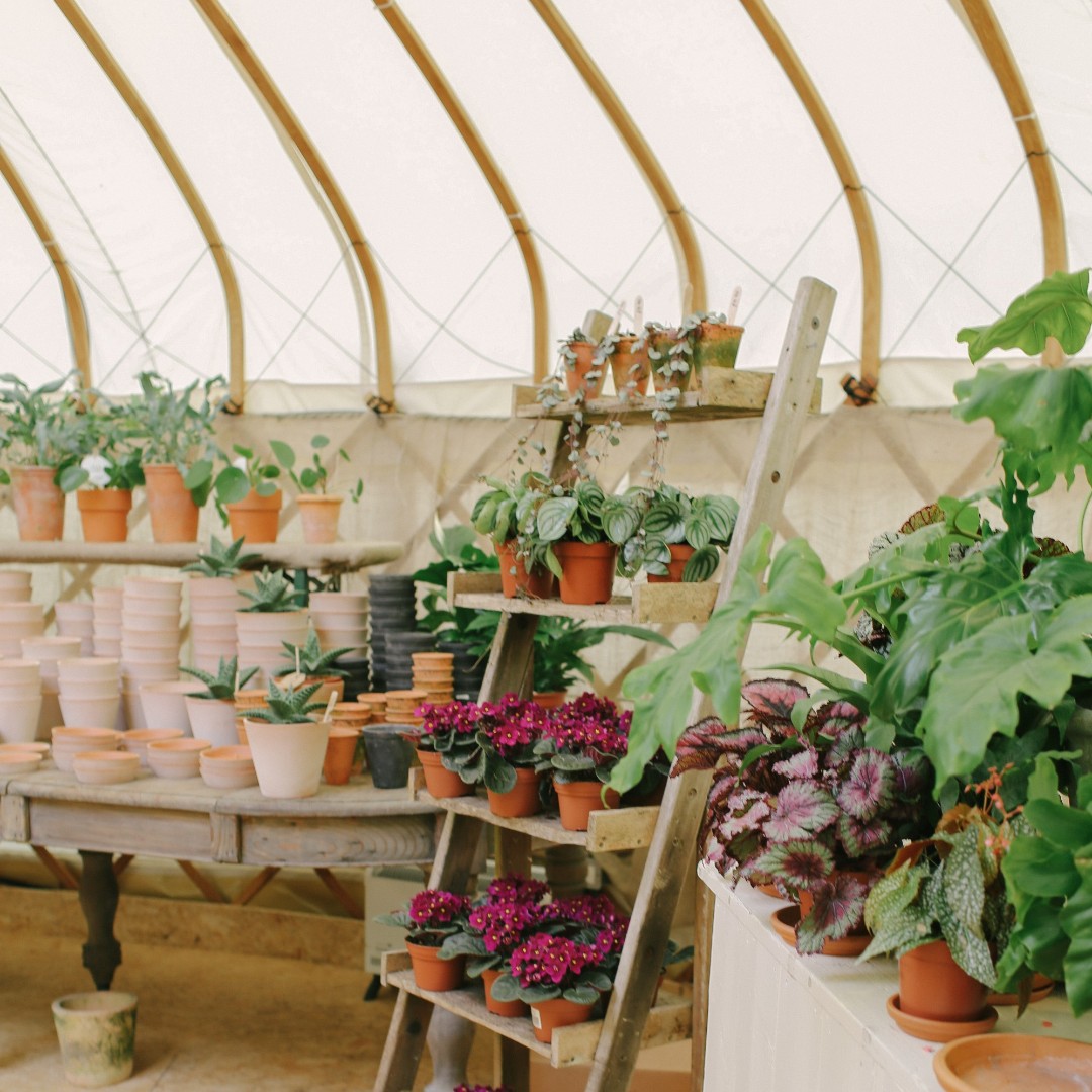 The Jolly Nice houseplant yurt 🌴🦎🌿
