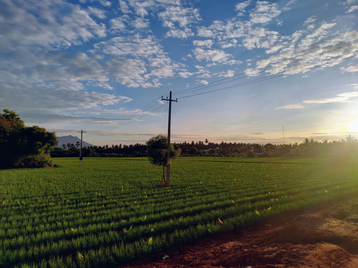 pradeep06s's tweet photo. எழில் கொஞ்சும் அழகு 🏞️💚
Shot on #Asus5z @ASUSIndia 
#unedited https://t.co/F78Qj92S1G