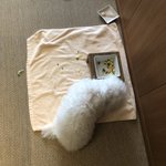 ツイートに含まれる画像