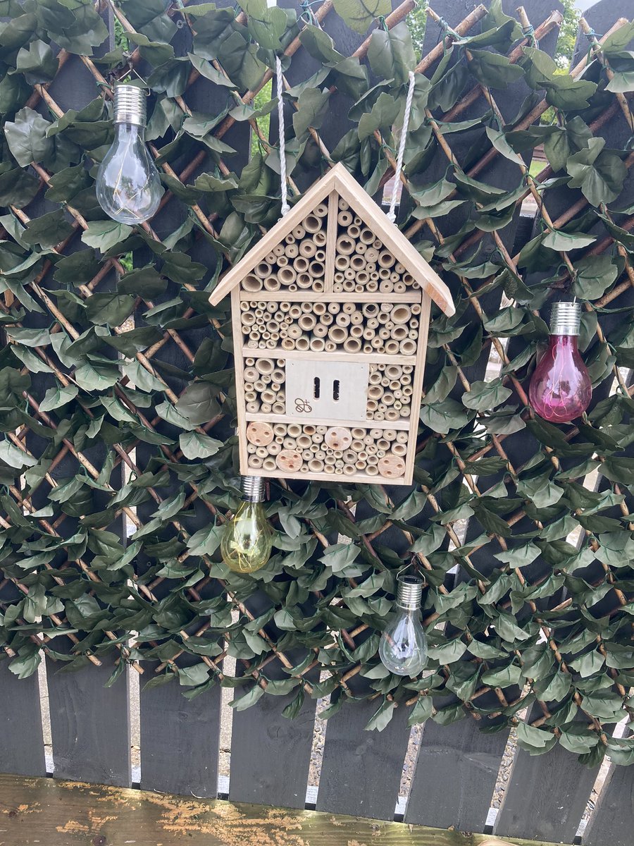 stephcarr1981's tweet photo. Love my bee hotel, I got yesterday.  Hopefully they use it 🐝🐝 https://t.co/qDwXGgZDKJ