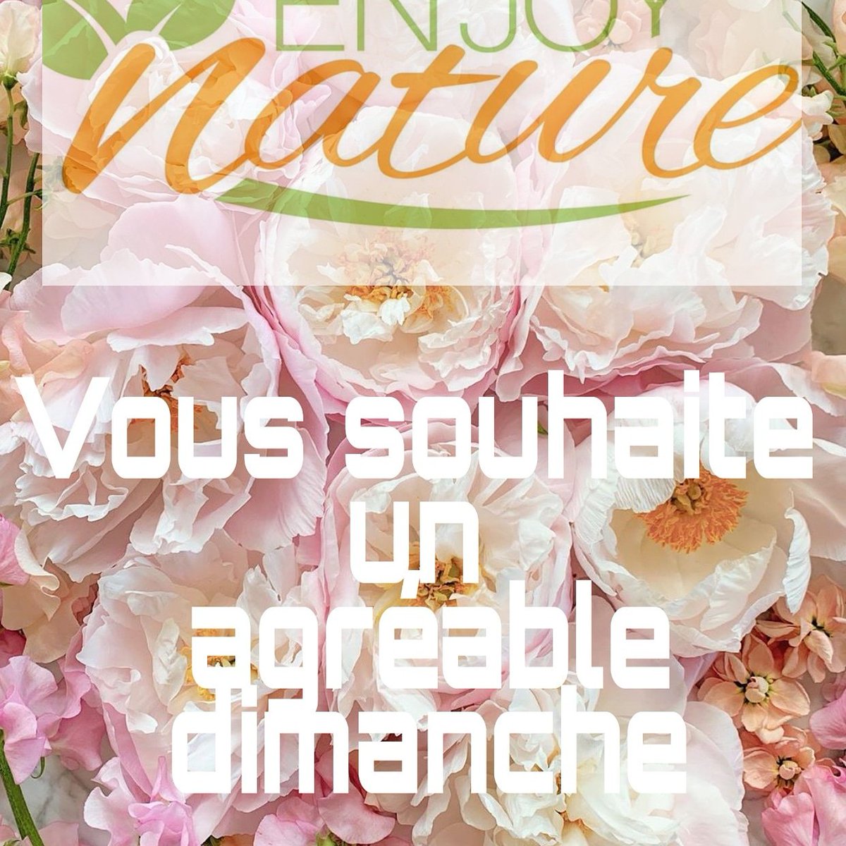nature_enjoy's tweet photo. #skincare #nature #naturelovers #healthcare #happiness https://t.co/XYRNCYV69t