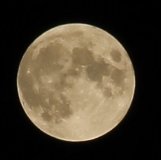 isragiron's tweet photo. Nuestra Luna Mexicana desde Nogales Sonora https://t.co/K0eJGgCoUs