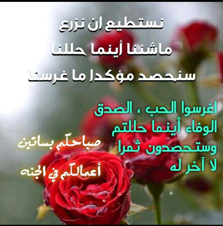 Hayder AL Saed (@haydern81) on Twitter photo 