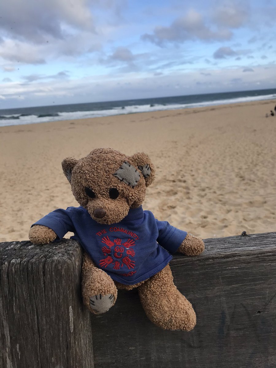 RennisonKate's tweet photo. And here he is at #LakesEntrance on #90milebeach which is the world’s 4th longest uninterrupted beach. #travellingteddownunder https://t.co/IaIBi3R4UJ