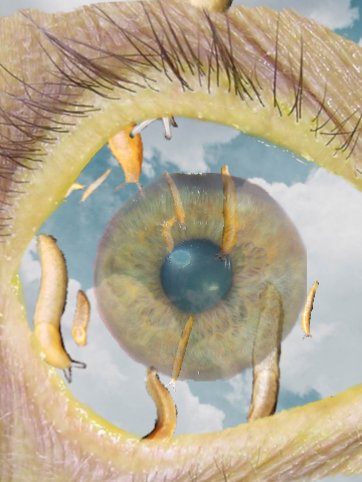 10 more days left to submit for Issue 04. Read about the theme: The Penetrating Gaze. surrealpoetics.weebly.com/surrealism-n/t…
#surrealism #PenetratingGaze #poetry #VisionaryPoets #Clairvoyance #SurrealPoetics