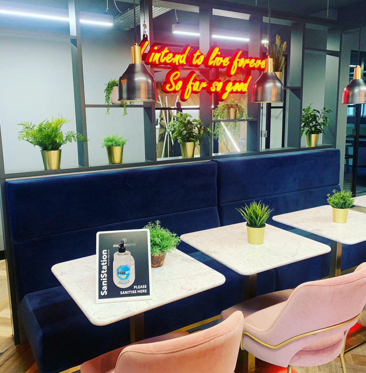 DesigntonicLtd's tweet photo. Safe and tasteful. Branded sanitising stations now available ๐ค #officedesign #officefitout #commercialinteriors #commercialinteriordesign #interiordesign #workplacedesign #cafedesign #restuarantdesign #sanitisingstations #designandbuild #refurbishment #leeds #yorkshire https://t.co/oav9RcM4ZE