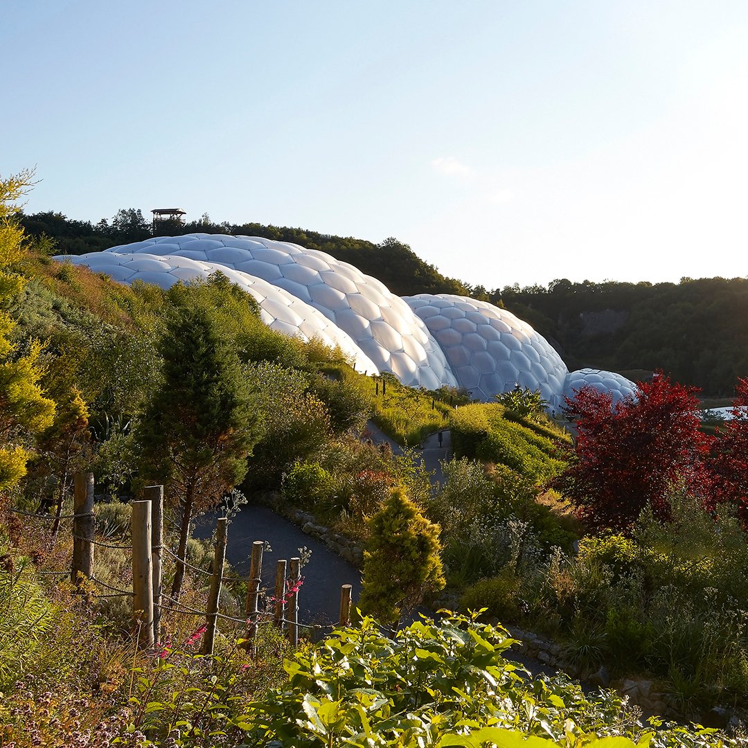 Now that our Biomes are reopen to visitors, what are you most looking forward to seeing again?