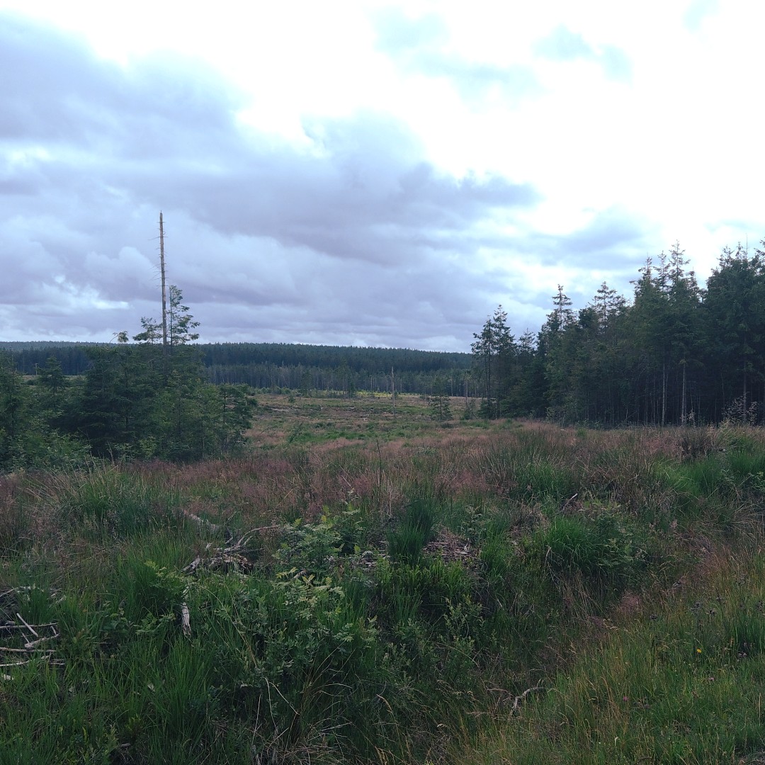 GazorTrail's tweet photo. https://t.co/ex6oZt2xEI #exploring #valley #backcountry #bush #backpack #hiking #camping #tent #walking #camping #trails #trailgazor #views #amazing #nature #forest #village #germany #belgium #border https://t.co/m2hdoi4dZG