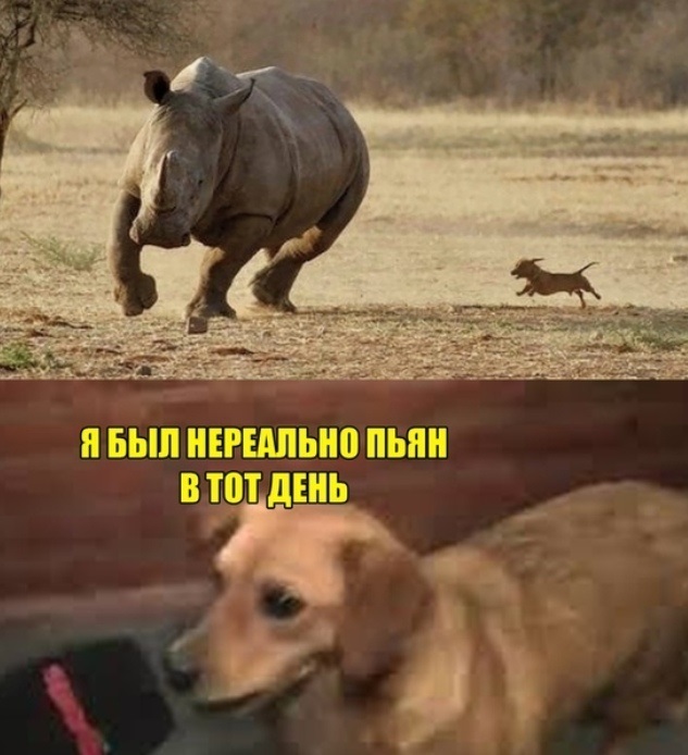 Патриоты в Днепре восстановили испорченное вандалами граффити с Шухевичем - Цензор.НЕТ 5771