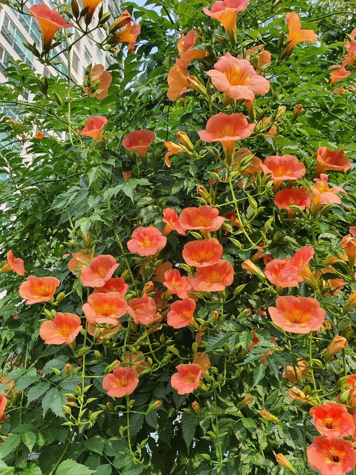 H. D. Kang 행복비결 tweet media