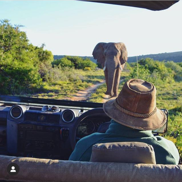 Melanie_vanZyl's tweet photo. Help share what makes South Africa so special! #StayHomeSouthAfrica has teamed up with two charming heritage lodges in the extraordinary Amakhala Game Reserve to spread the local-is-lekker love. Enter to win a weekend away worth R16000

Enter here > https://t.co/yt3sNXKI2A https://t.co/eABZbLDIQN