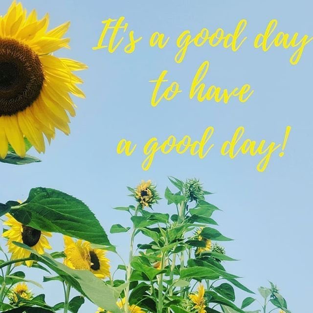 dcrawford1934's tweet photo. Good morning all wishing you a super duper Sunday,with the sun shining it looks like a fabulous day ahead. A thought and a funny hoping it makes you chuckle #TakeCar #StaySafe👍🌟☕️🌹🌺🌸 https://t.co/WWTxOpD9pg