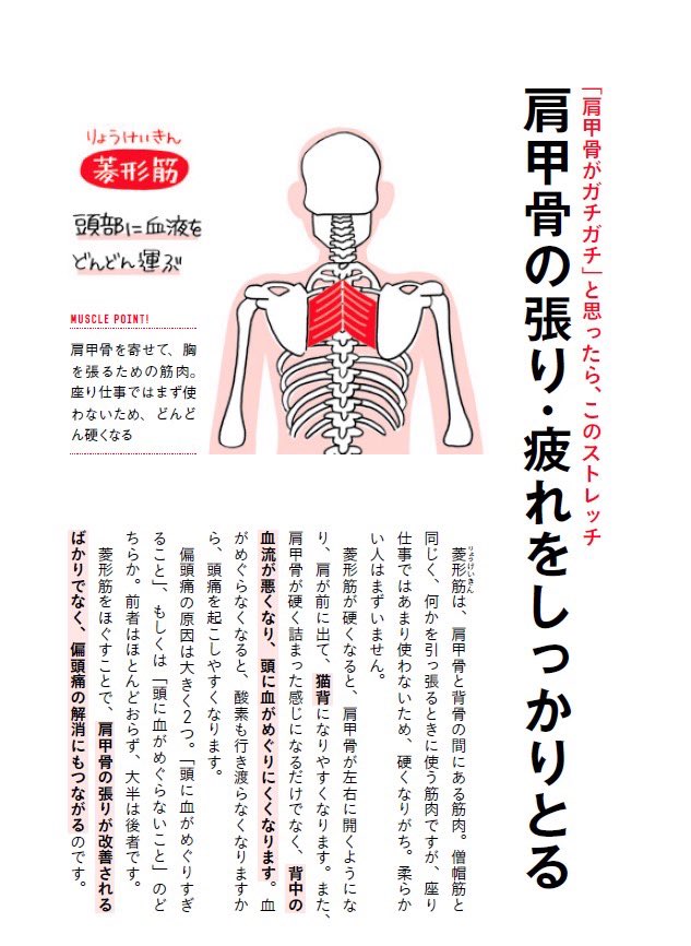 nst_nakata's tweet photo. 肩こりがあって、肩甲骨の間がカチカチの人は「菱形筋」ストレッチをしましょう。これは「肩甲骨はがし」でじわーっと伸ばすと一気に肩の動きが良くなるのでおすすめ。ポイントは、足にひっかけた手を足で斜め外側に押し込むこと。効果がでたらぜひ買ってください😌

【新刊】https://t.co/UffOKgK6Fz https://t.co/UxYChfpmOf
