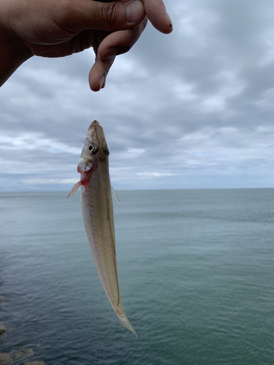 市川 翔太 すきすきすきすきすきっすき