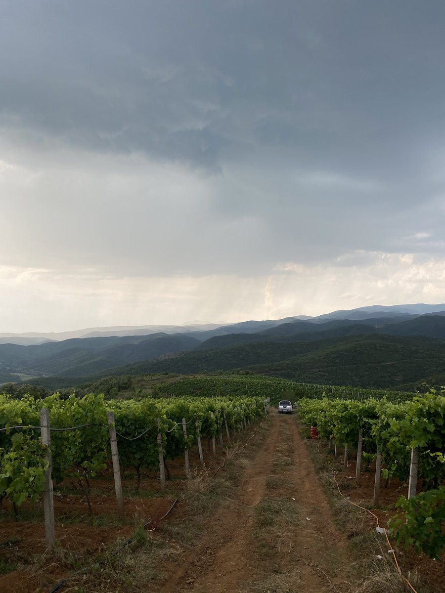 AgustinBardhi's tweet photo. “Po të bekoj, o Atë, Zotërues i qiellit e i dheut, që i fshehe këto gjëra nga të dijshmit e nga të urtit, e ua zbulove të vegjëlve. (Mt 11, 25) Të diele të mbarë. #Albania 🇦🇱 #Bukmire https://t.co/Ide3qkC5L8