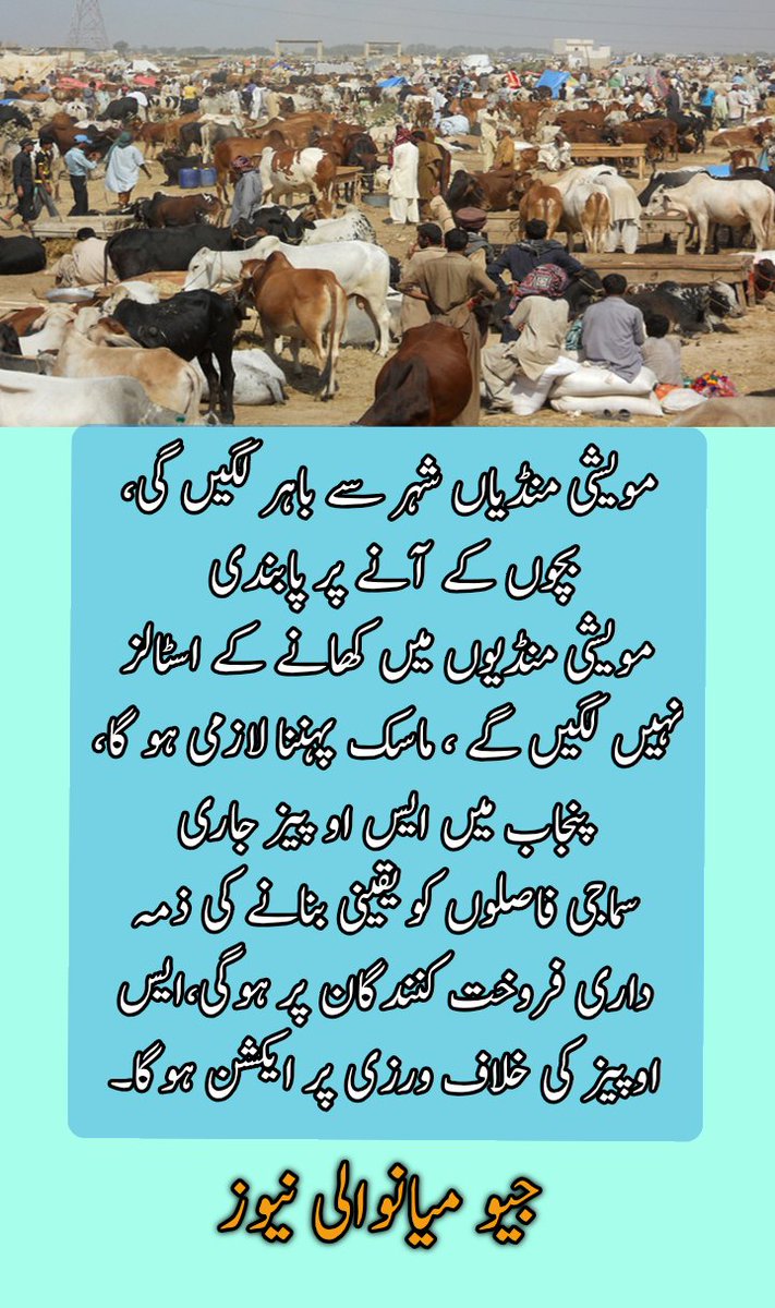CSSChakrala's tweet photo. مویشی منڈیاں شہر سے باہر لگیں گی، بچوں کے آنے پر پابندی 
مویشی منڈیوں میں کھانے کے اسٹالز نہیں لگیں گے ، ماسک پہننا لازمی ہو گا، پنجاب میں ایس او پیز جاری
سماجی فاصلوں کو یقینی بنانے کی ذمہ داری فروخت کنندگان پر ہوگی،ایس اوپیز کی خلاف ورزی پر ایکشن ہوگا https://t.co/KSpTSSQng0