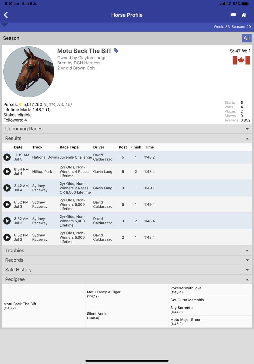Last start juvenile winner for sale, taking offers <a href="/AndPacing/">Off and Pacing</a>