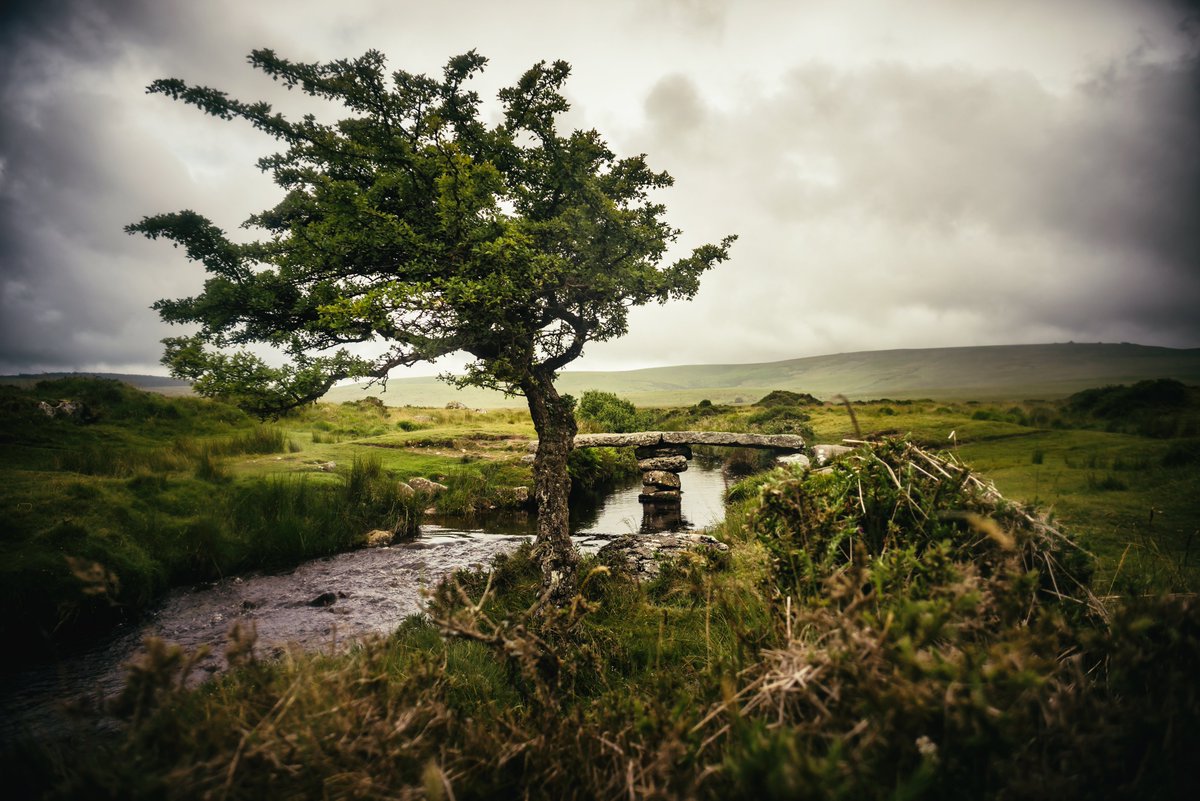 GlavindStrachan's tweet photo. A bowing #hawthorn on the #NorthTeignRiver complete with #ClapperBridge ... just down the hill from #ScorhillCircle .. beautiful #dartmoornationalpark #dartmoorcollective #dramaticdevon #devonlandscape #devonphotographer #glavindstrachan https://t.co/MMCMsZt5Sp